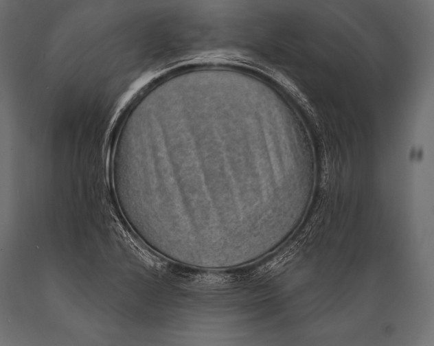 X0000088871224200706291533