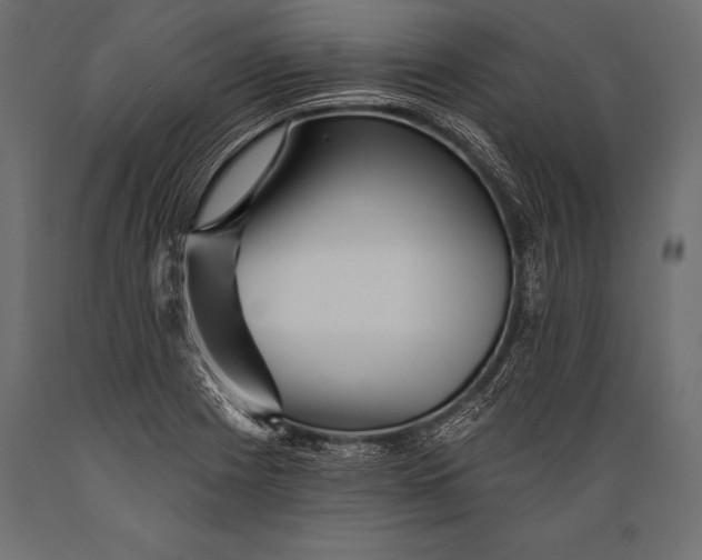 X0000088871225200706291533