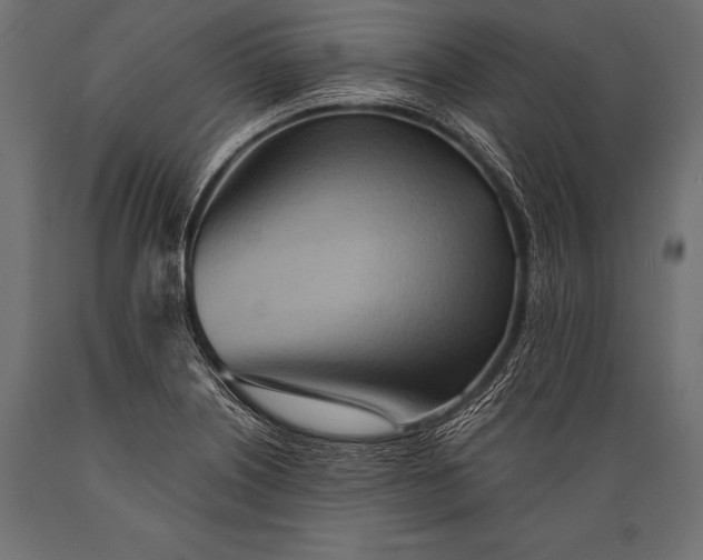 X0000088871226200706291533