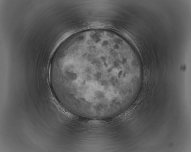 X0000088871227200706291533