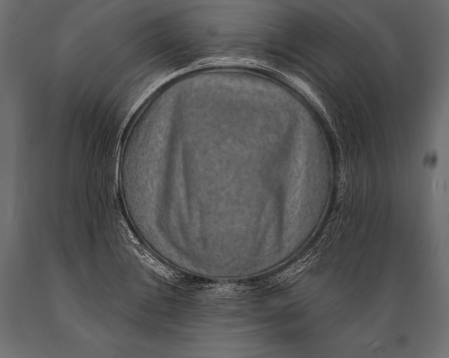 X0000088871228200706291533