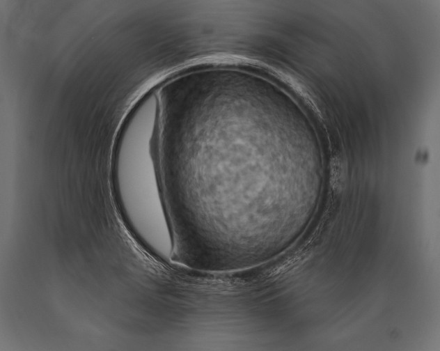 X0000088871229200706291533