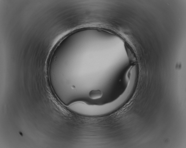X0000088871230200706291533
