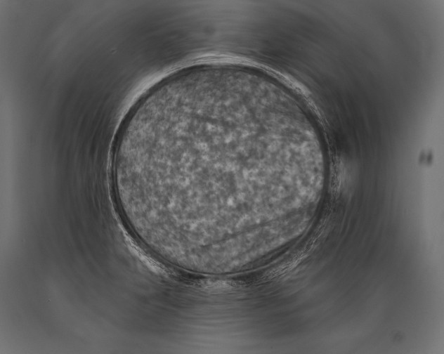 X0000088871231200706291533