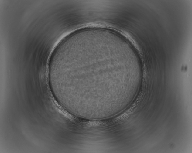 X0000088871232200706291533
