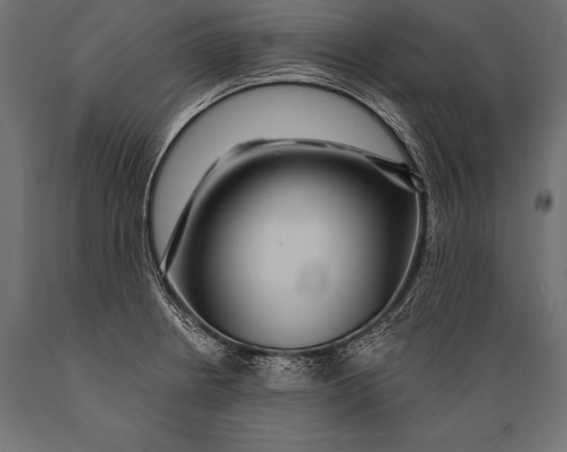 X0000088871234200706291533