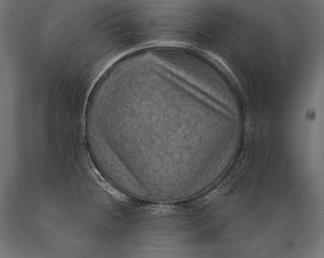 X0000088871236200706291533