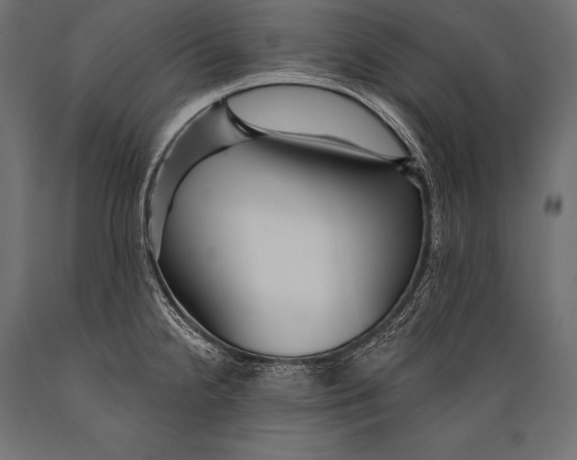 X0000088871238200706291533