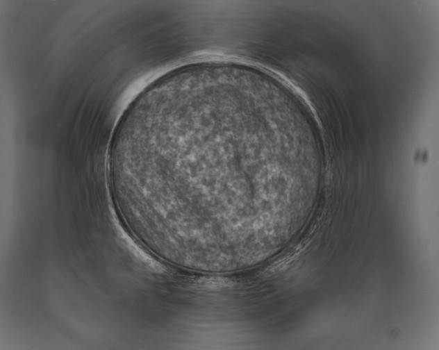 X0000088871239200706291533