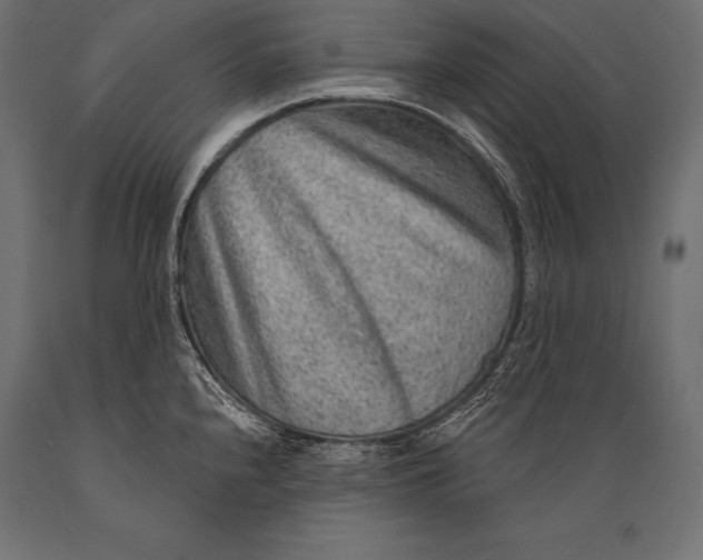 X0000088871240200706291533