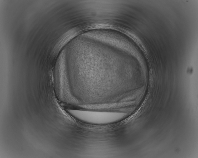 X0000088871241200706291533