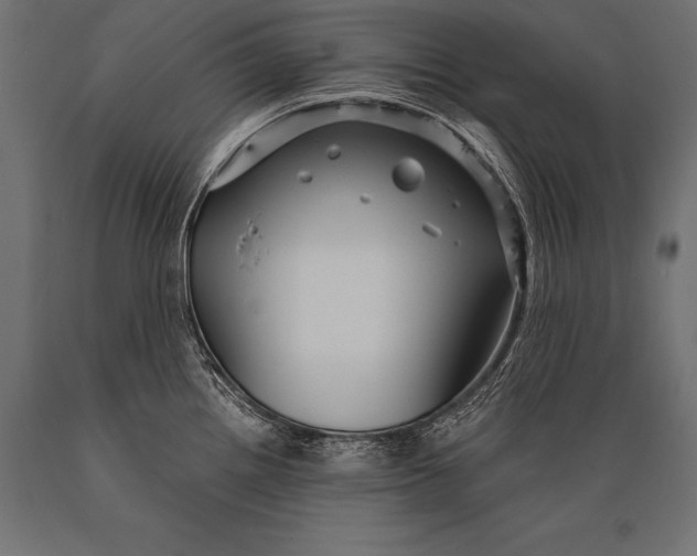X0000088871242200706291533