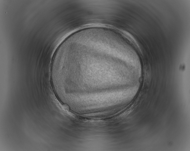X0000088871244200706291533