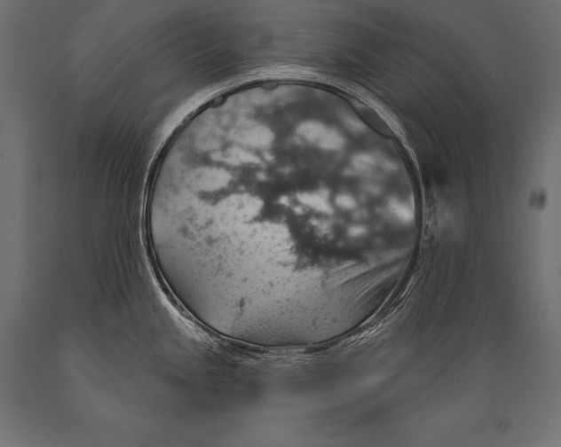 X0000088871245200706291533