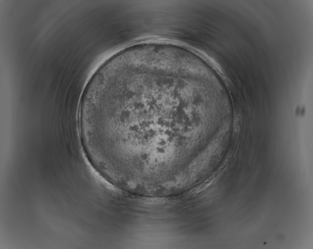 X0000088871247200706291533