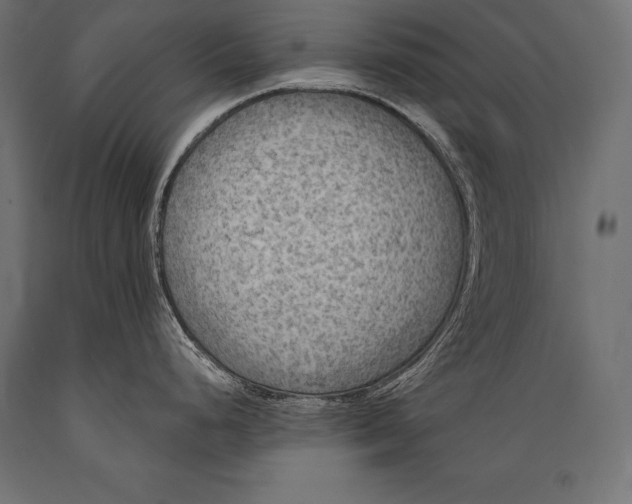 X0000088871248200706291533