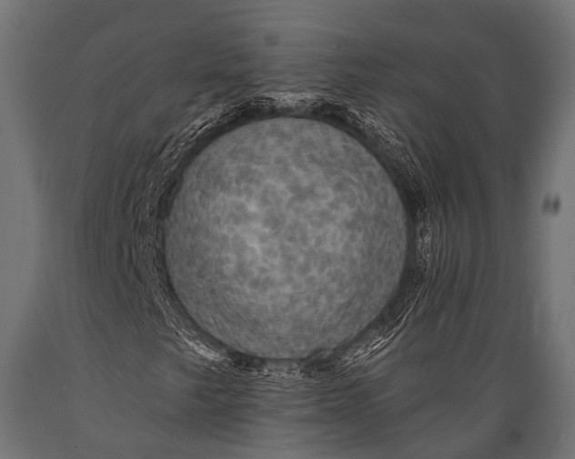 X0000088871249200706291532