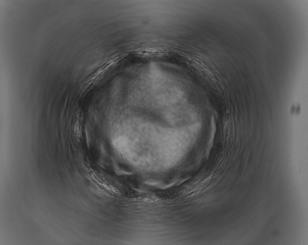 X0000088871250200706291532