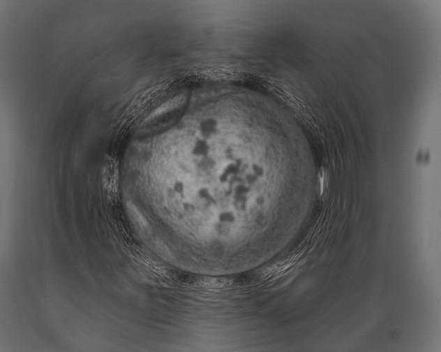 X0000088871251200706291532