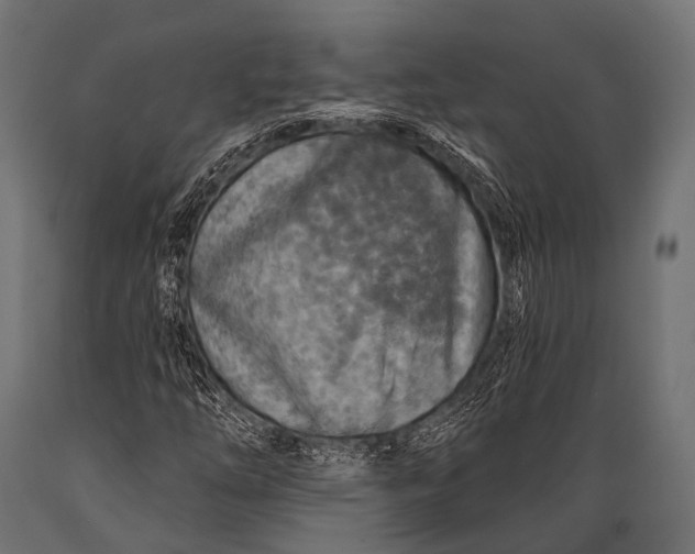 X0000088871254200706291532