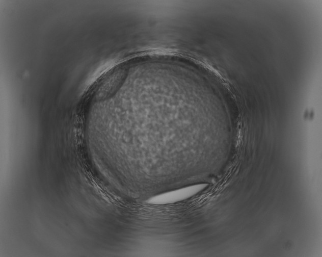 X0000088871255200706291532
