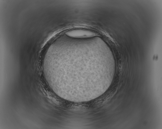 X0000088871256200706291532