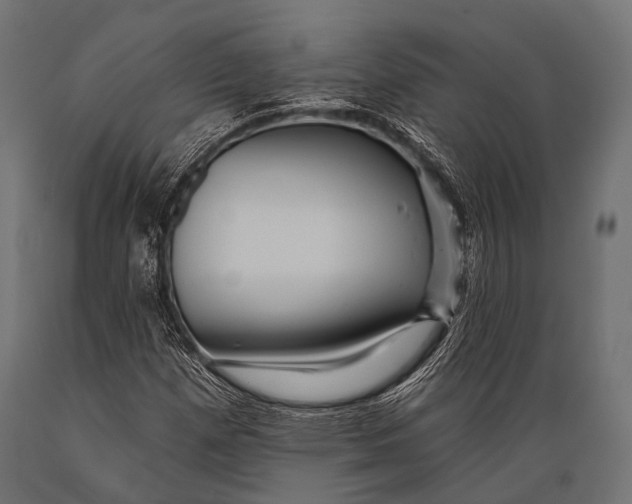 X0000088871257200706291532