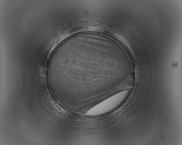 X0000088871260200706291532