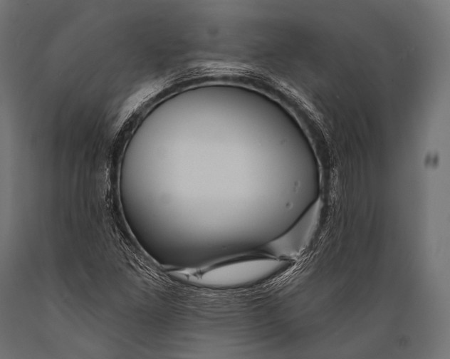 X0000088871261200706291532