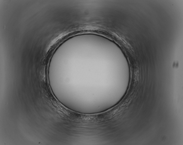 X0000088871262200706291532