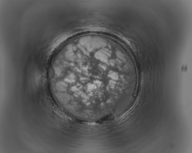 X0000088871263200706291532