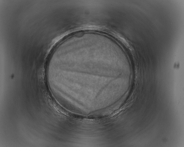 X0000088871264200706291532