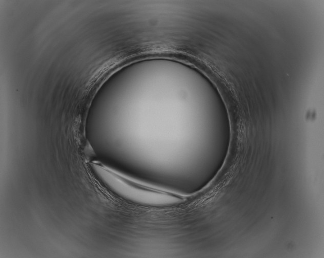X0000088871265200706291532