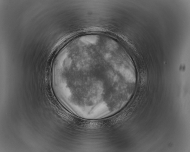 X0000088871266200706291532