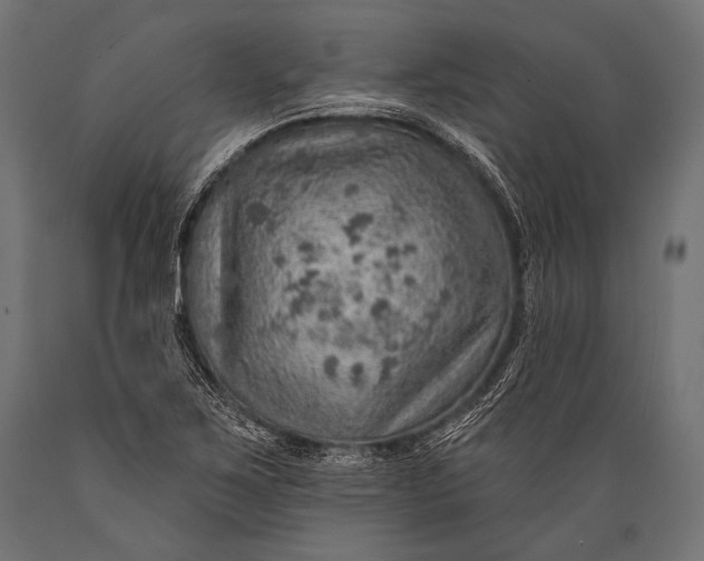 X0000088871267200706291532