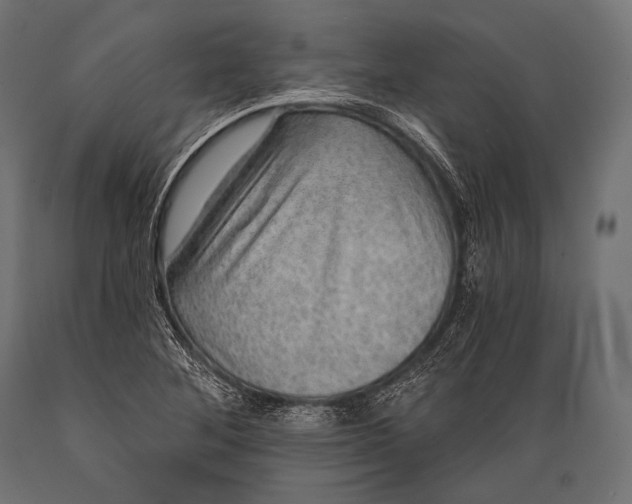 X0000088871268200706291532