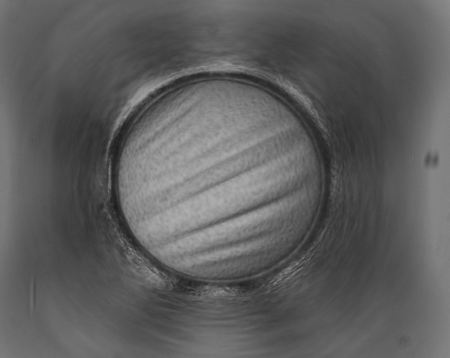 X0000088871270200706291532
