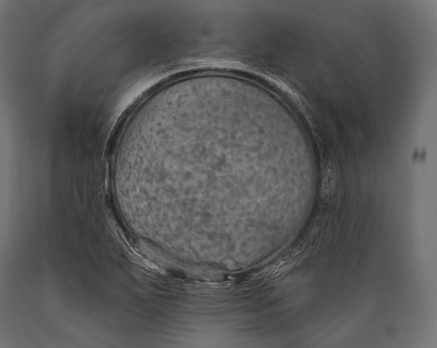 X0000088871271200706291532