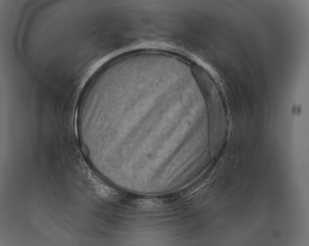 X0000088871272200706291532