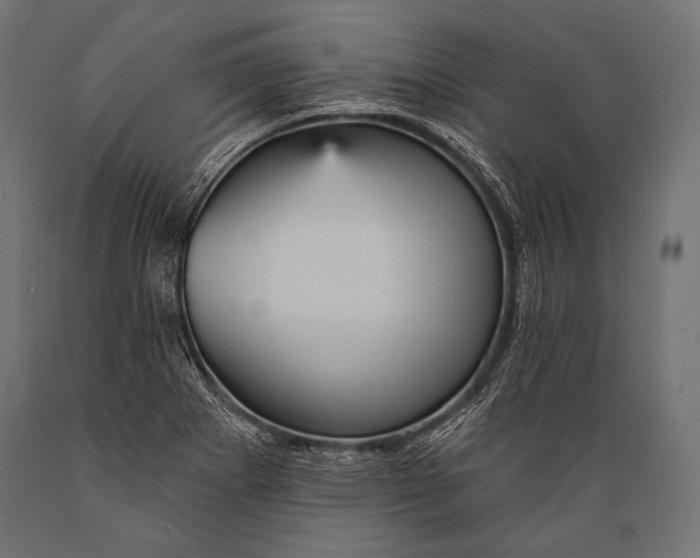 X0000088871273200706291532