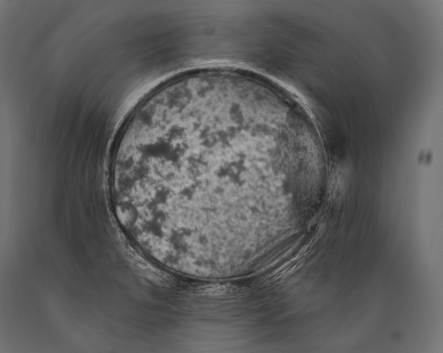 X0000088871279200706291532