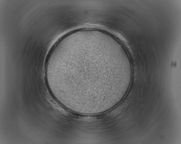 X0000088871280200706291532