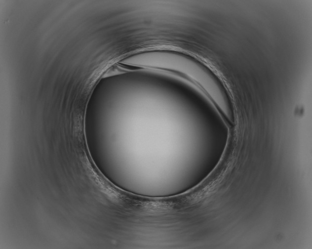 X0000088871281200706291532