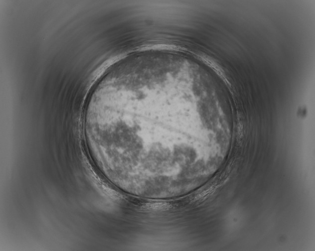 X0000088871282200706291532