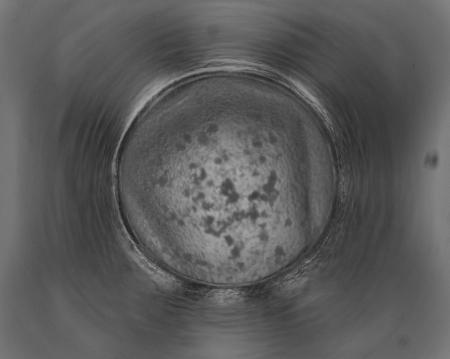 X0000088871283200706291532