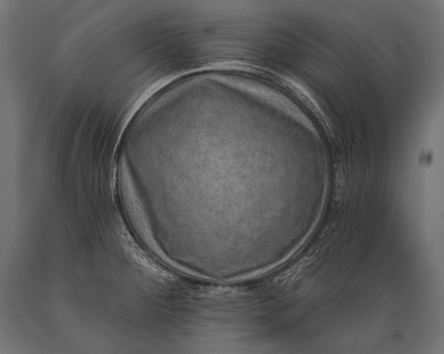 X0000088871284200706291532