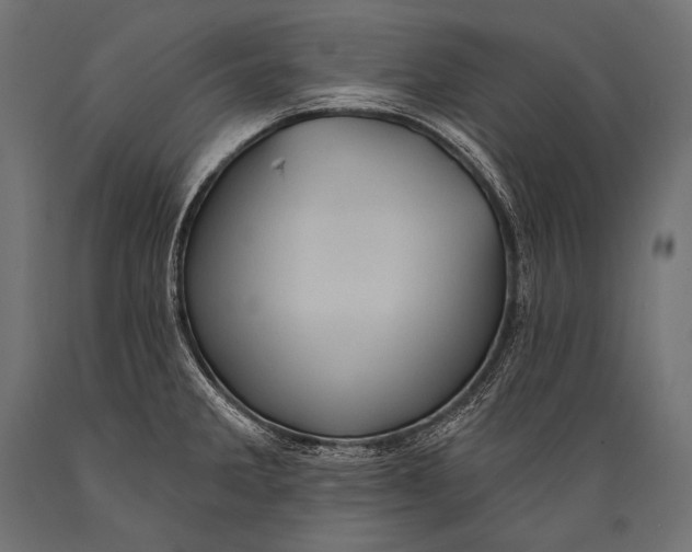 X0000088871285200706291532