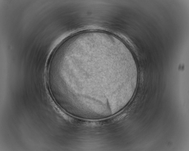 X0000088871286200706291532