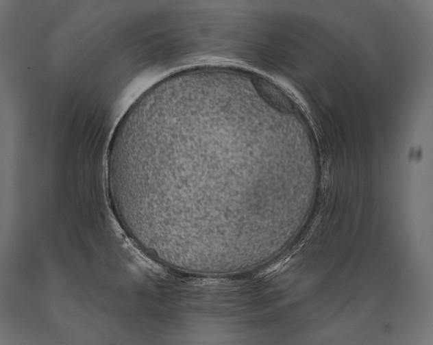 X0000088871287200706291532