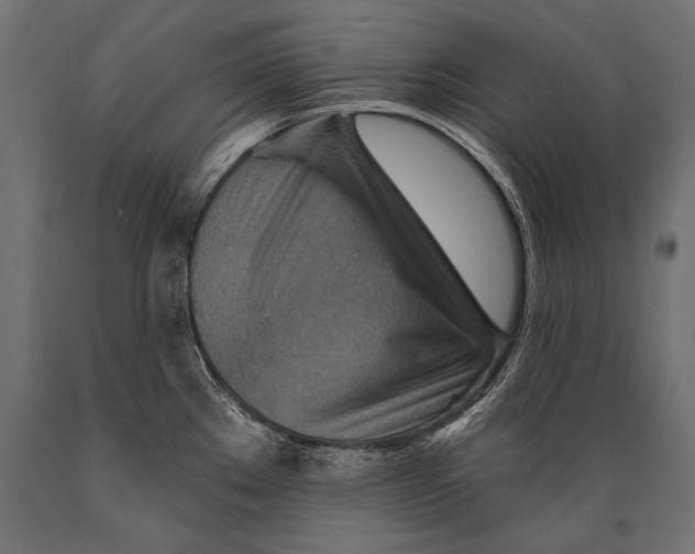 X0000088871289200706291532